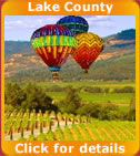 Monterey & Carmel Tours Logo