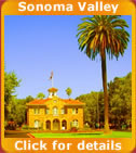 Wine Country Tours Logo